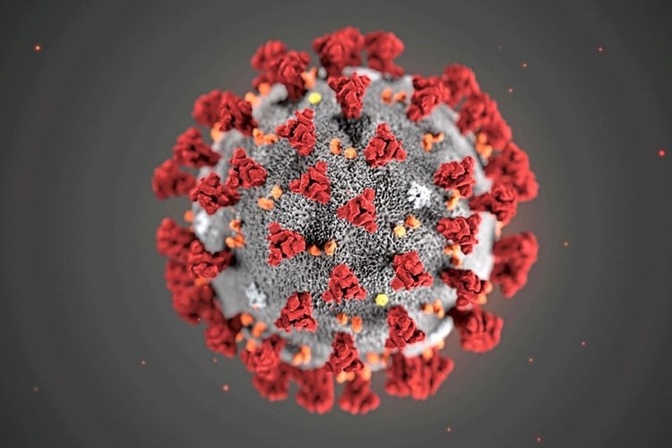 ricerca lavoro e coronavirus