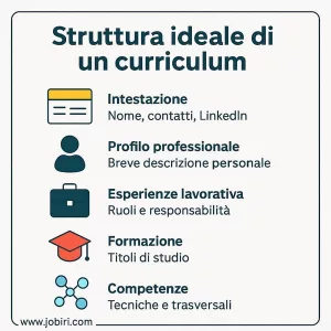 struttura curriculum