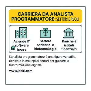 carriera analista programmatore