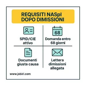 requisiti naspi 
