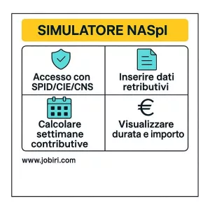 simulatore naspi