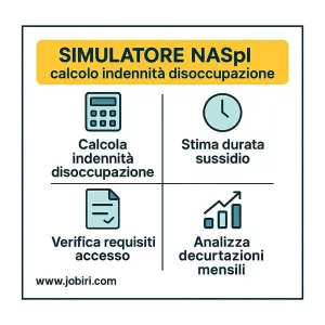 simulatore naspi