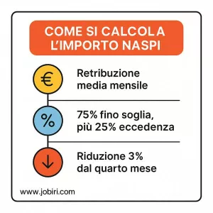 calcolo importo naspi 